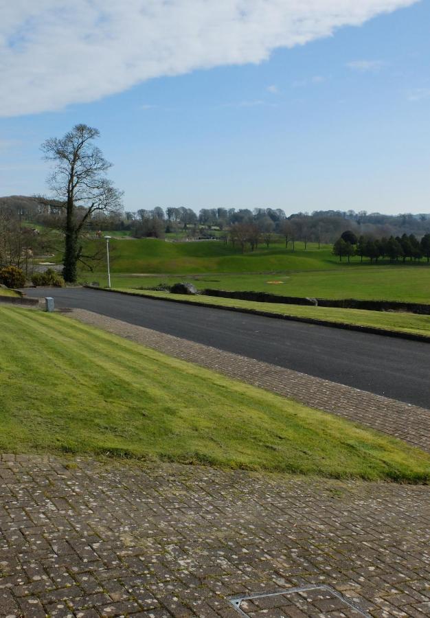 4 The Mews Villa Athlone Exterior foto